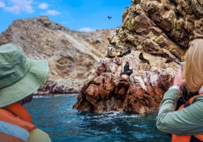 Islas Ballestas y Paracas: la guía completa