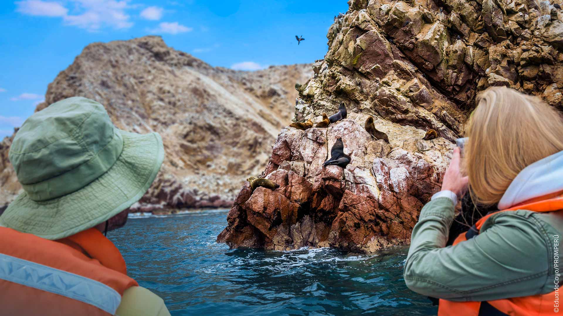 Turistas observando de cerca a los lobos marinos, Paracas. ©PROMPERÚ