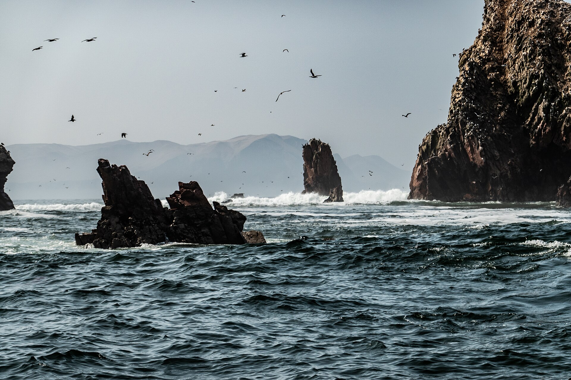 Islas Ballestas, Ica. Foto: PsamatheM / Wikimedia Commons (CC BY-SA 4.0)